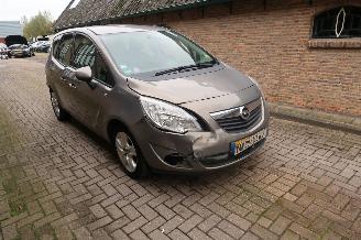 Opel Meriva 1.4 Selection picture 2