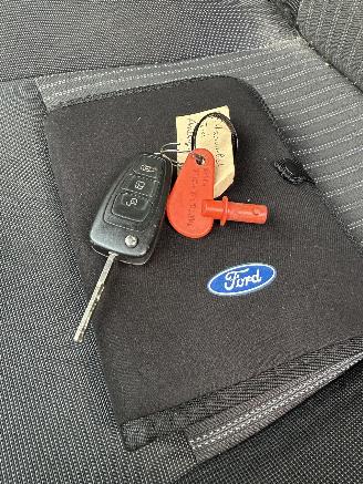 Ford Transit 470 2.0 TDCI L4H1 Trend RWD picture 15