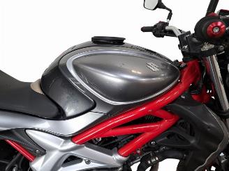 Suzuki Gladius 650  picture 23