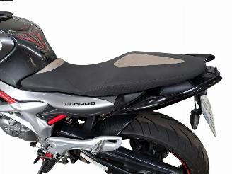 Suzuki Gladius 650  picture 16