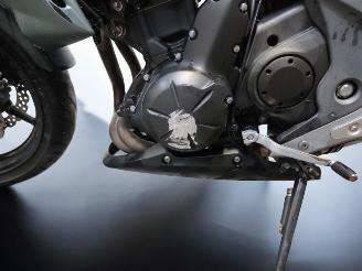 Kawasaki ER - 6 N  picture 20