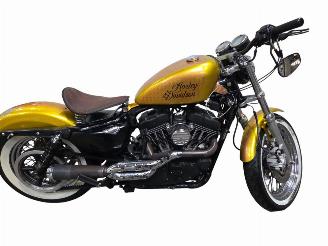 krockskadad bil motor Harley-Davidson XL 1200  2005/9