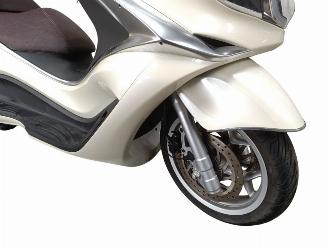 Piaggio X10  picture 9