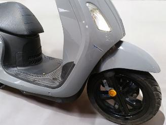 Sym Fiddle  picture 15