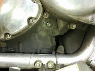 Harley-Davidson Street Rod  picture 23