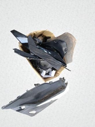 Honda  FORZA NSS picture 9