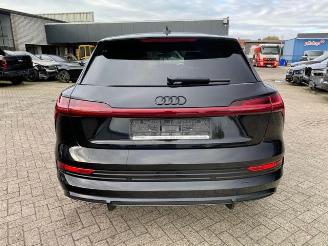 Audi E-tron 50 quattro S line *HEAD-UP - NAVI - KAM* picture 12