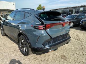 Cupra Formentor 1.5 TSI e-Hybrid picture 12