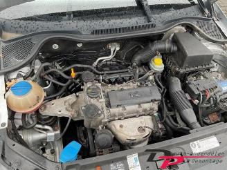 Volkswagen Polo Polo V (6R), Hatchback, 2009 / 2017 1.2 12V BlueMotion Technology picture 12