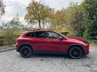 Mercedes GLA Mercedes-Benz GLA 250 e Panoramadach Camera Ambiance VOL! picture 25