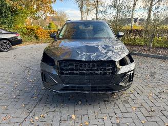 Audi Q2 Q2 40 TFSI S-Line DSG Quattro Camera ACC Trekhaak VOL picture 23