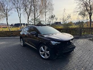 Damaged car Audi Q4 Audi Q4 E-tron 40e S-Line Panorama Camera LED VOL 2022/10