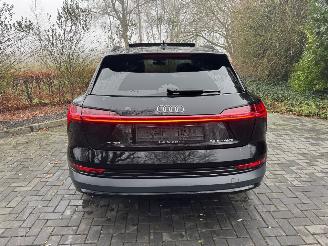 Audi E-tron Audi E-tron 55 Quattro S-Line Panorama Leder Trekhaak VOL picture 7