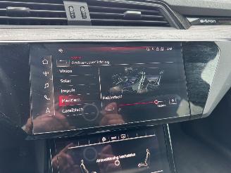 Audi E-tron Audi E-tron 55 Quattro S line Leder Trekhaak Camera VOL ! picture 4