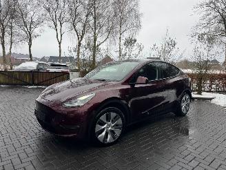 Coche accidentado Tesla Model Y Tesla Model Y Long Range Dual AWD Panoramadak Camera Autopilot VOL 2024/3