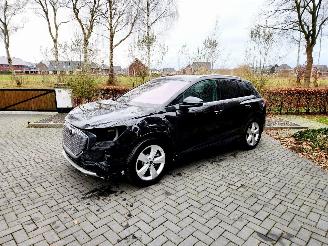 Unfallwagen Audi Q4 Q4 e-tron 45 e-tron Quattro Heatpump Camera Leer VOL!! 2024/6