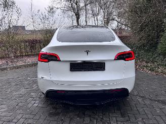 Tesla Model Y Tesla Model Y Long Range RWD PANORAMA Autopilot VOL picture 22