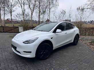 uszkodzony samochody osobowe Tesla Model Y Tesla Model Y Long Range RWD PANORAMA Autopilot VOL 2024/11