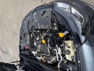 Renault Mégane  picture 13