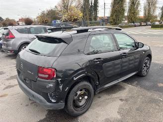 Citroën C4 cactus  picture 4