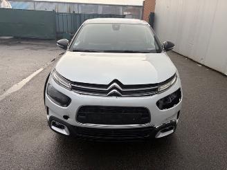 Citroën C4 cactus  picture 5