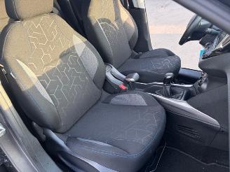 Peugeot 2008  picture 12