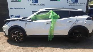  Peugeot 2008 2008 (UD/UK/UR/US/UX), MPV, 2019 1.2 VTi 12V PureTech 130 2022/1