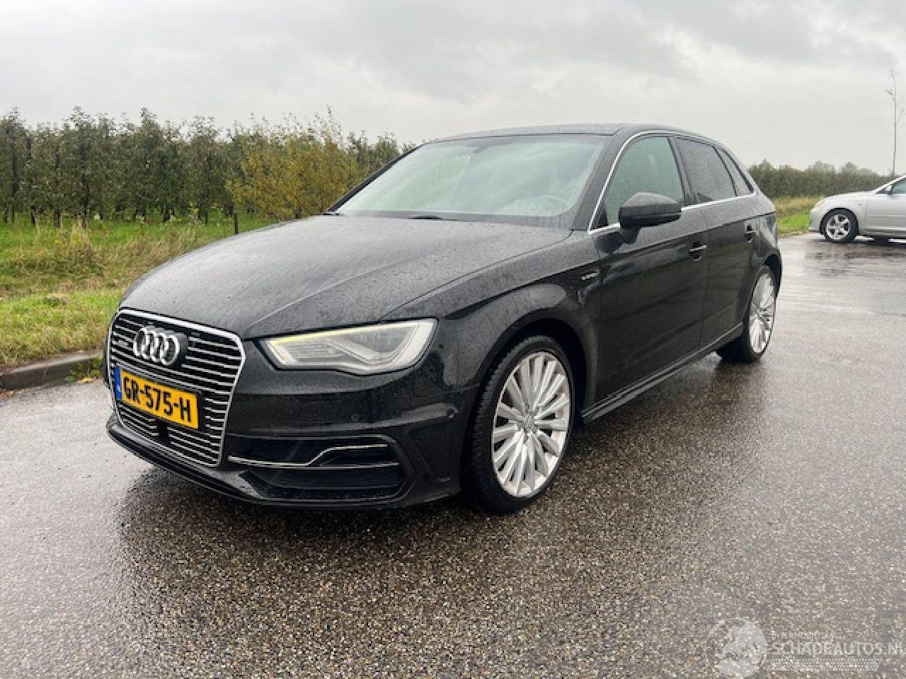 Audi A3 E-tron met Pano dak camera hybride