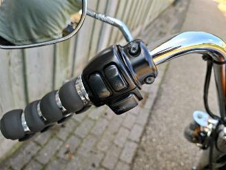 Harley-Davidson Road King FLHRI SPECIAL PAINT NL picture 19