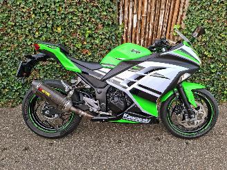 Kawasaki  Ninja 300 Anniversary Edition picture 2