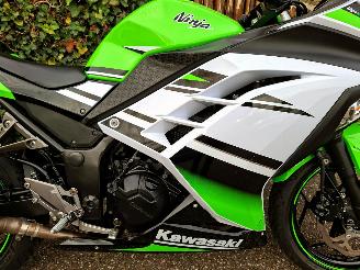 Kawasaki  Ninja 300 Anniversary Edition picture 5