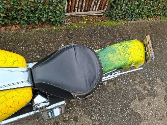 Harley-Davidson Heritage softtail FLSTC Heritage Classic picture 16