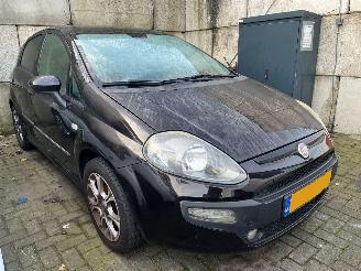 Fiat Punto Evo ZFA19900001616390 picture 2
