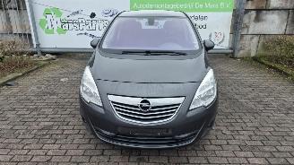 Schadeauto Opel Meriva 1.4 Turbo 16V LPG ecoFLEX MPV   1.364cc 88kW (120pk) FWD 2011-06/2013-10  A14NEL 2012/1