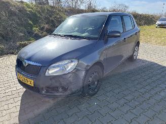 Auto incidentate Skoda Fabia 1.2 Classic 2008/12