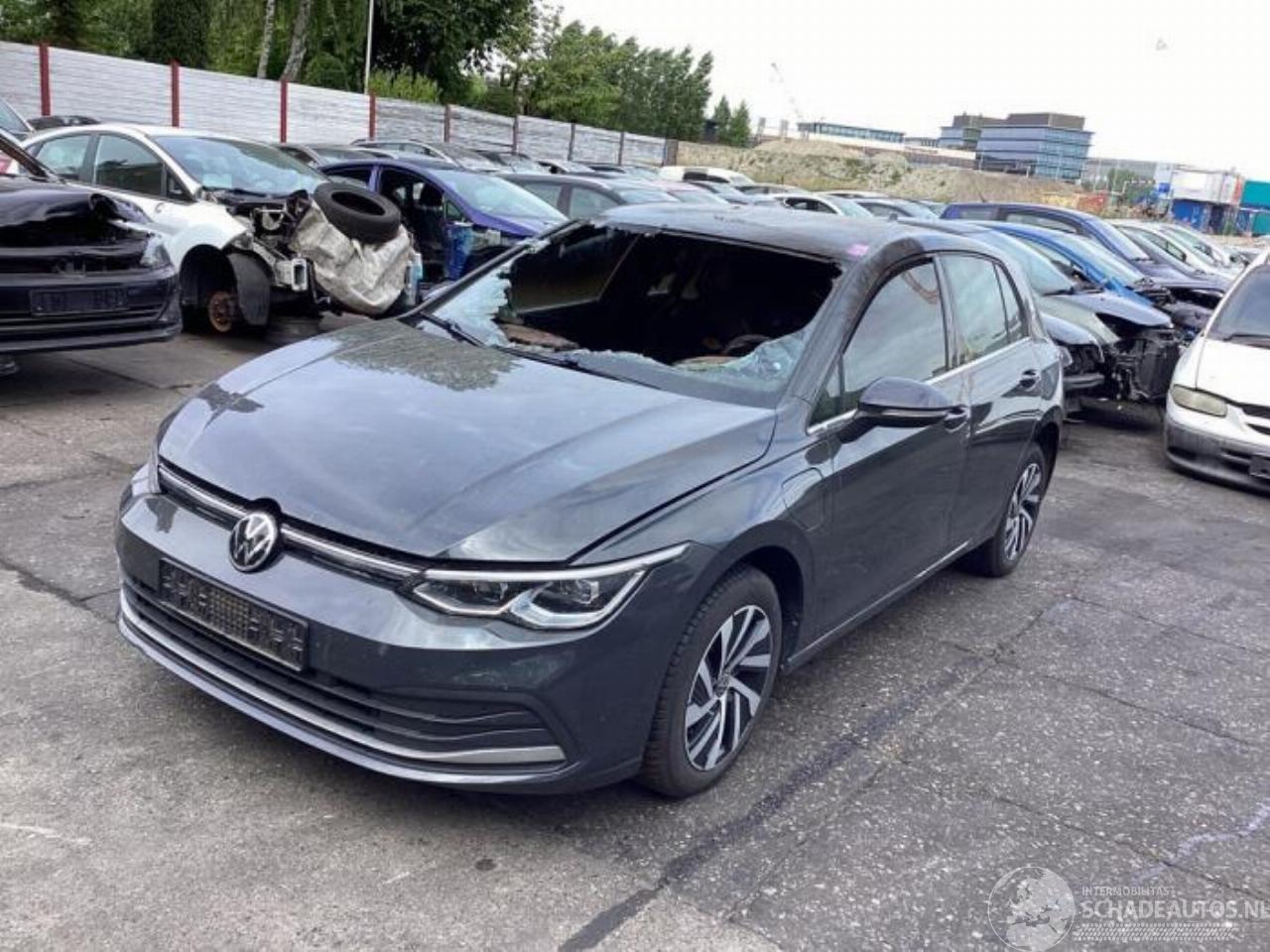 Volkswagen Golf Golf VIII (CD1), Hatchback, 2019 1.4 eHybrid 16V