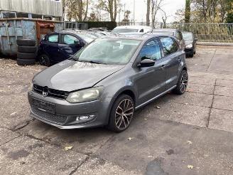 Volkswagen Polo Polo V (6R), Hatchback, 2009 / 2017 1.4 16V picture 2