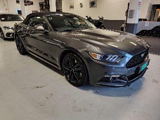 Ford Mustang  picture 6