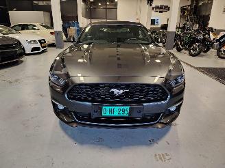 Ford Mustang  picture 2
