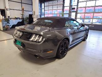 Ford Mustang  picture 9