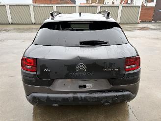 Citroën C4 cactus AUTO picture 20