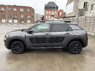 Citroën C4 cactus AUTO picture 22