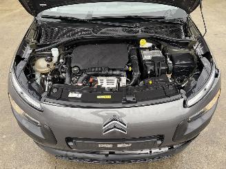 Citroën C4 cactus AUTO picture 18