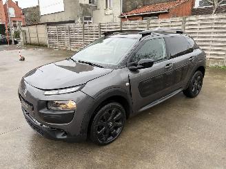 Citroën C4 cactus AUTO picture 2