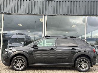 Citroën C4 cactus 1.2 PureTech Shine picture 11