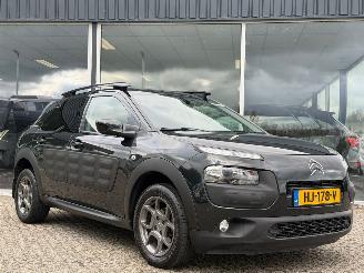 Citroën C4 cactus 1.2 PureTech Shine picture 1