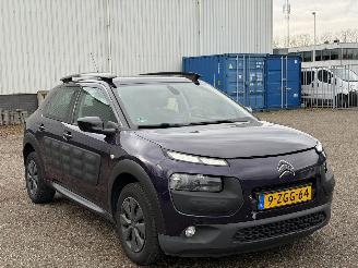 Citroën C4 cactus 1.6 BlueHDi Business picture 3