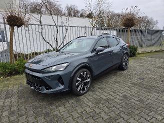 Cupra Formentor VZ 245 kW picture 3