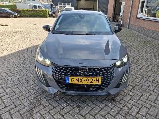 Peugeot 208 hybrid  100 dcs6 allure  80kw  navi picture 8