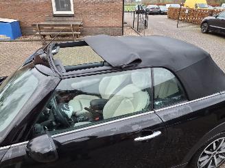Mini Cabrio 1.5i  100kw  cooper navi cabrio picture 15